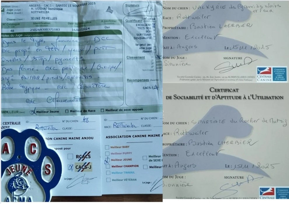 CACS angers 15/11/2025