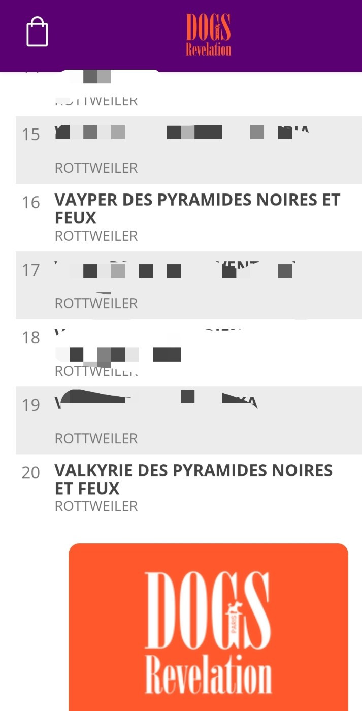 16 eme et 20 eme au classement des plus beau jeune rottweilers de france
