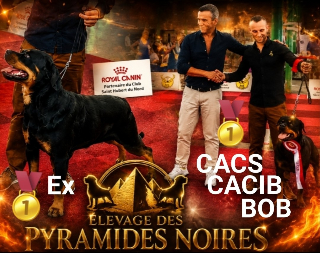 CACS CACIB Maubeuge