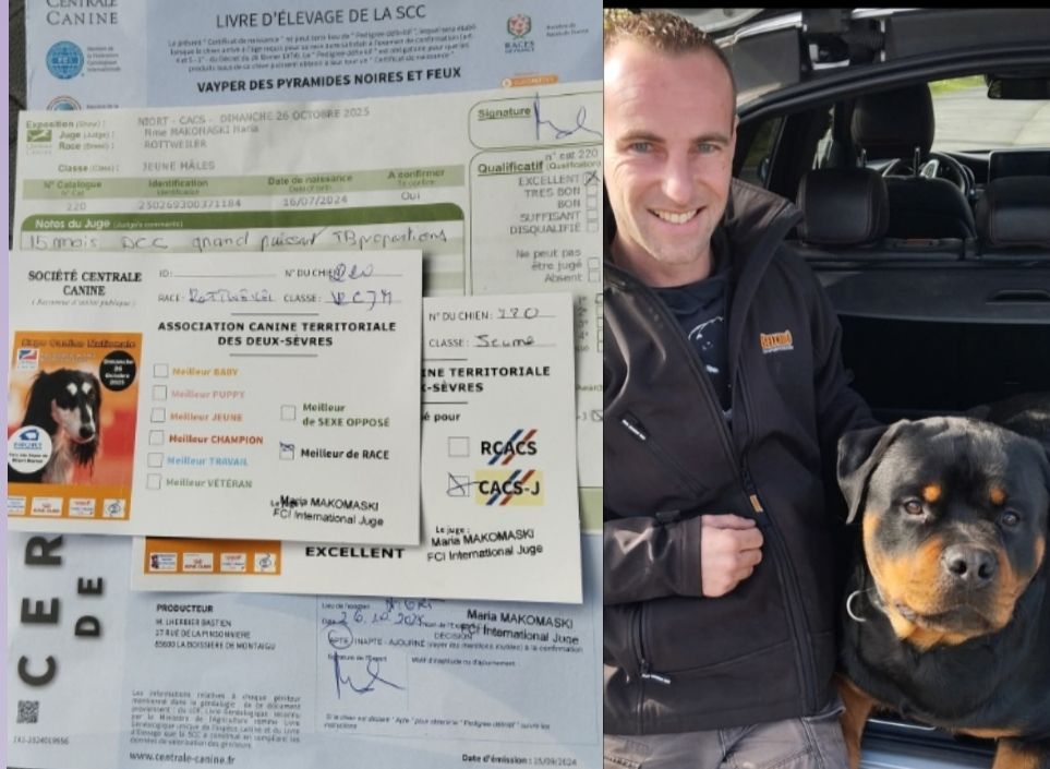 CACS Niort /juge makomaski 26/10/2025